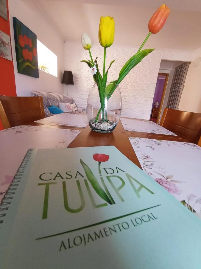 Cabo Branco Casa Da Tulipa 아파트 외부 사진